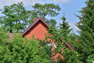 A house with a sloping roof among green trees. Day. Sun.