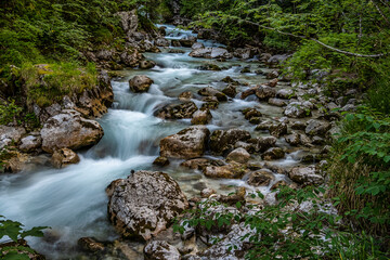 Magic Forest Zauberwald at Lake Hintersee with Creek Ramsauer Ache. National Park Berchtesgadener Land, Germany