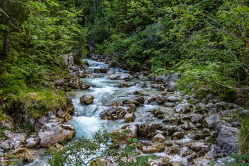 Fototapeta premium Magic Forest Zauberwald at Lake Hintersee with Creek Ramsauer Ache. National Park Berchtesgadener Land, Germany