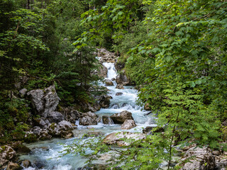 Obraz premium Magic Forest Zauberwald at Lake Hintersee with Creek Ramsauer Ache. National Park Berchtesgadener Land, Germany