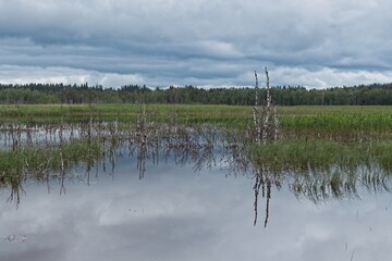 Tysj&ouml;arna wetlands near &Ouml;stersund in northern Sweden