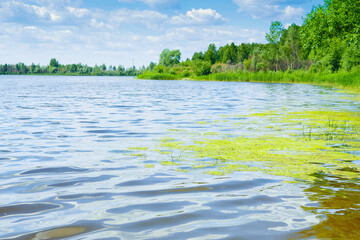 Fototapeta na wymiar beautiful landscape dark blue lake, green forest and cloudy sky..