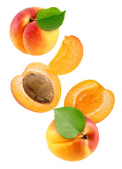 Apricot and half isolated on white background