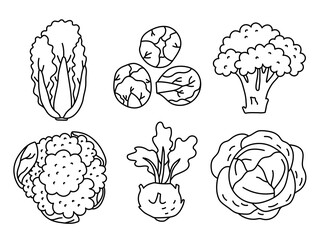Types of cabbage. Vegetable sketch. Thin simple outline icon. Black contour line vector set. Doodle hand drawn illustration collection