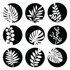 Set of vector highlight covers for social media. Floral black and white icons. Vector illustration isolated on white background.