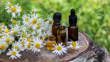 chamomile essential oil on a wooden background.