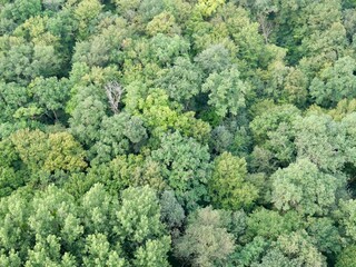 Naklejka premium Vol en montgolfière (Blois)