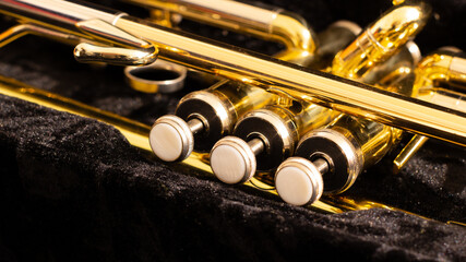Close-up pearl keys on golden brass saxophone in a black velvet case. Selective focus