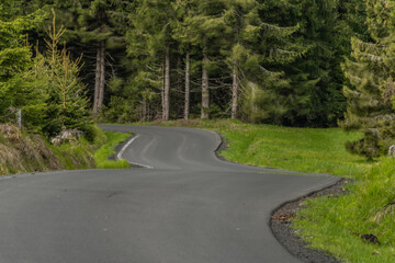 Road near Prebuz village in Krusne mountains in spring color day