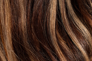 Fototapeta premium hair background