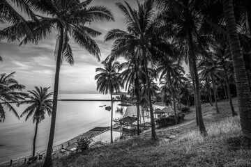 Blackwhite Photos landscape Wonderful  Batam Bintan Indonesia
