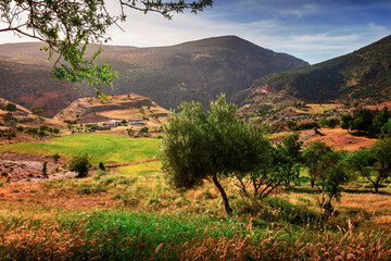 landscape photo for the nature at the mountains in Bougaa sétif algeria - obrazy, fototapety, plakaty