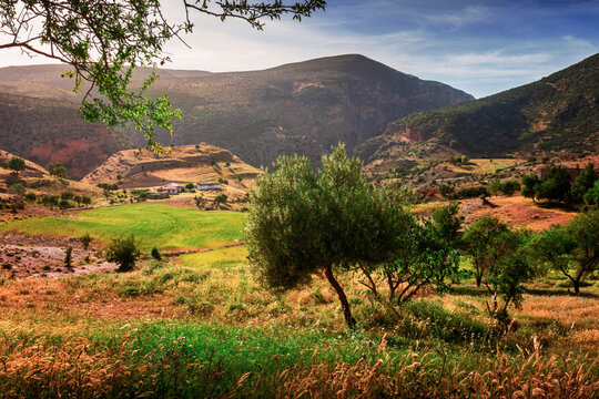 landscape photo for the nature at the mountains in Bougaa s&eacute;tif algeria