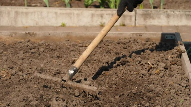 Loosen the soil with a rake