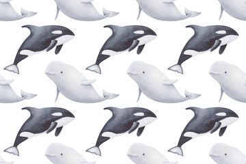 Watercolor pattern of beluga and orca whale on the white background
