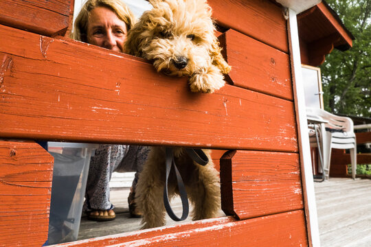 Stockholm, Sweden A bichpoo puppy leans into an openeing on a porch as if to say goodbye.