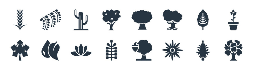 nature filled icons. glyph vector icons such as chestnut oak tree, protea, pecan leaf, grape leaf, plum leaf, pitch pine tree, butternut tree, black willow sign isolated on white background.
