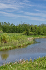 Fototapeta na wymiar Pylypow Wetlands on a Clear, Late Spring Day