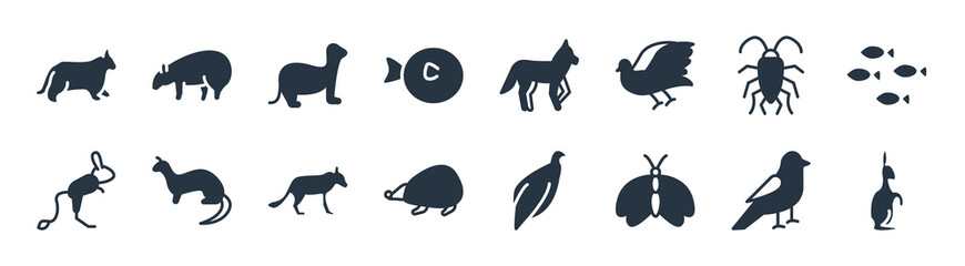 animals filled icons. glyph vector icons such as hare, moth, hegdehog, jerboa, cockroach, ferret, coyote, wombat sign isolated on white background.