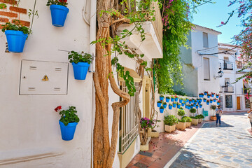 Hermoso casco antiguo de Marbella en un soleado día de diciembre. Paredes blancas decoradas con maceta azul.