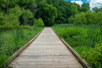 Boardwalk through the Wetlands of Four Mile Creek Greenway Trail, Charlotte, North Carolina