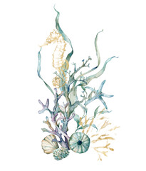 Watercolor tropical card of seahorse, starfish, laminaria and corals. Underwater animals and plant isolated on white background. Aquatic illustration for design, print or background.