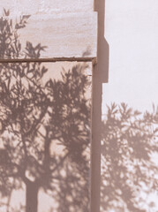 Stylish tree shadow on white wall. Minimal aesthetic background