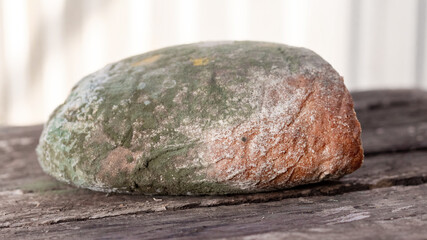 A loaf of bread is covered with mold. Spoiled bread, toxic products