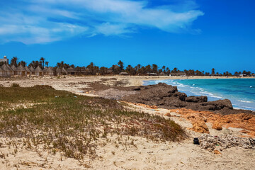 A beautiful view of the Mediterranean coast with birch water, a beach with white sand and a green palm tree.