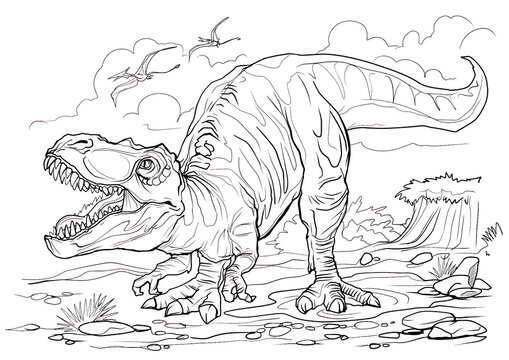 Tyrannosaurus. Dinosaur coloring page for children and adults, hand drawn illustration. A4 size. Design for wallpapers, packaging, postcards and posters. Black and white. Wild nature
