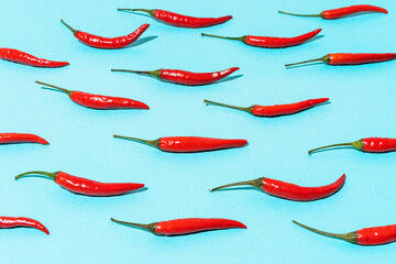 pattern of red chili peppers on a blue background. mexican food.