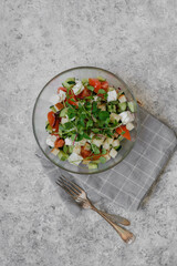 Vegetable salad with cheese and croutons on a light gray background