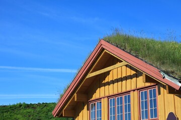 Sod roof house in Norway