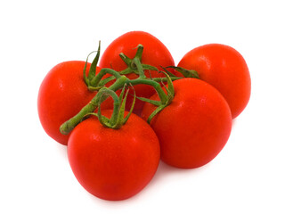 Vine red tomatoes with water drops