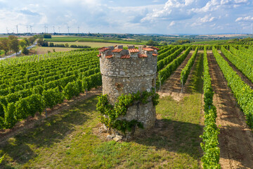 Fototapeta na wymiar Bird's eye view of a tower-shaped vineyard house near Ober-Flörsheim / Germany 
