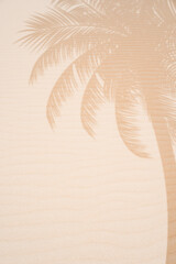 Tropical beach sand with shadows of coconut palm tree leaves in summer. Travel and vacations concept background.vertical
