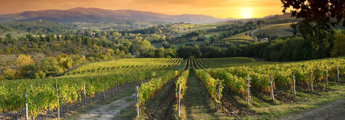 Fotobehang Prachtige wijngaarden in Toscane bij zonsondergang in de buurt van Greve in Chianti. Toscane, Italië © Dan74
