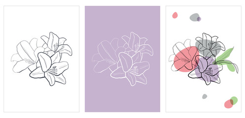 Hand drawn  lilies bouquet silhouette set