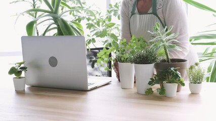 laptop woman greens plant greenhouse workplace online meeting houseplant shopping sale