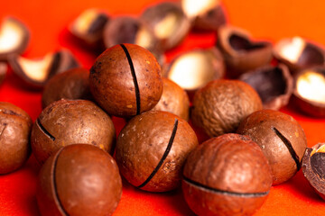 macadamia nut close-up on a red background