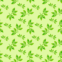 Watercolor, Flowers .Watercolor floral seamless paper.  pattern and seamless background. Ideal for printing onto fabric and paper or scrapbooking. Hand painted illustration.Printing hand drawn style p