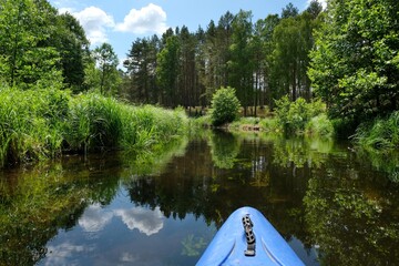 Beautiful scenery during a kayaking trip - green trees and bushes reflecting in the river on a sunny summer day. Zbrzyca river, Bory Tucholskie, Poland