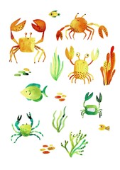 Watercolor set of cartoon crabs and seaweed on a white background.