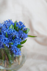 bouquet of blue flowers