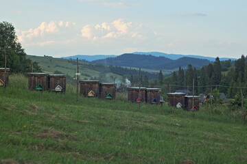 Colorful beehives in mountain lanscape
