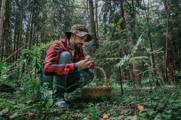 A young male mushroom picker with a large basket looks for, collects mushrooms in the forest.