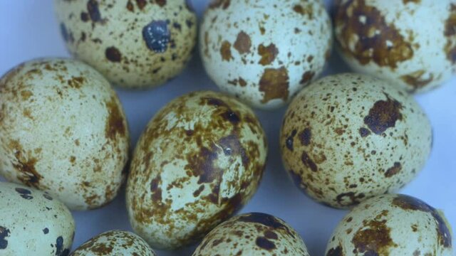 Close-up of festive Easter colorful eggs spinning. Fresh quail eggs are spinning. Eggs poultry ea plate Close-up. Selective focus, shallow depth of field