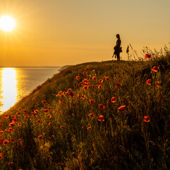 silhouette of a woman standing on a grassy hill next to the ocean at sunset with a colorful red poppy flower meadow in the foreground
