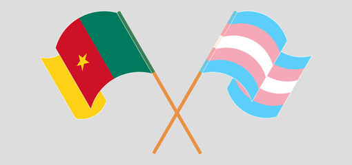 Crossed and waving flags of Cameroon and Transgender Pride