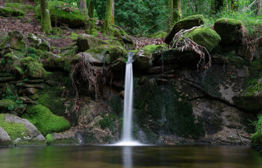 waterfall in a forest in Galicia. mossy place